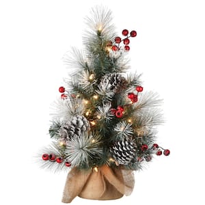 2 ft. Snowy Glacier Pine Small Tree in Burlap Base with 35 Warm White Battery Operated LED Lights with Timer