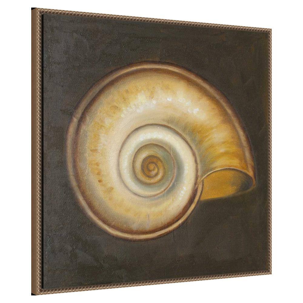 30"x30" Seashell I by Patricia Pinto Framed Canvas Wall Art Print Bronze - Amanti Art: Hand-Stretched, Madison WI, Nautical Decor