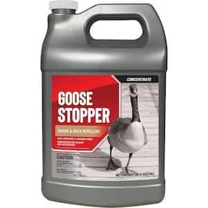 Goose Stopper Animal Repellent, 1 Gal. Concentrate