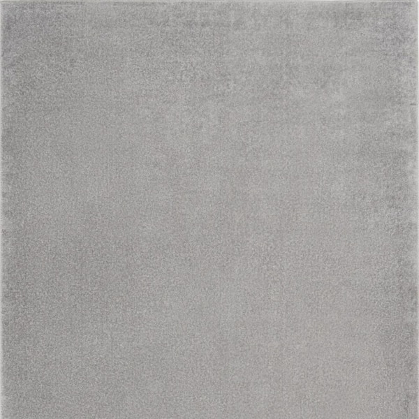 Gray 4 ft. x 6 ft. Woven Polypropylene Indoor/Outdoor Area Rug