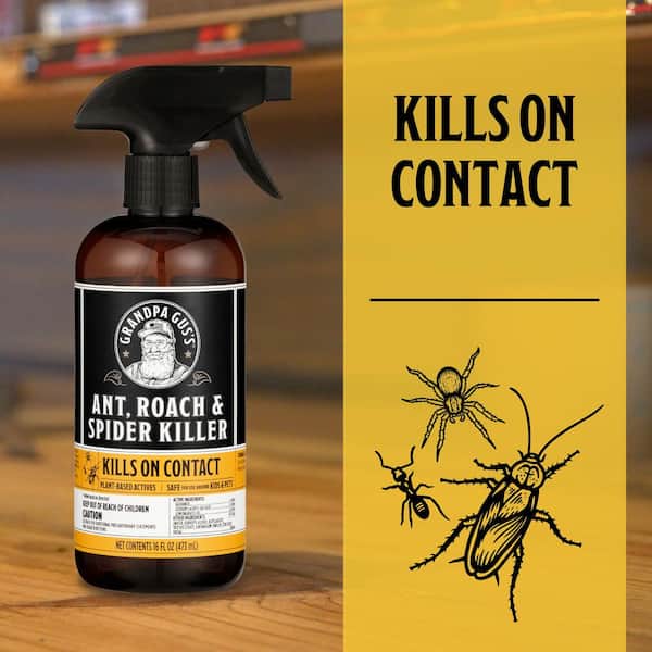 Exterminator’s Choice - Moth Defense Spray - 32 Ounce - Natural, Non-Toxic  Moth Repellent - Quick and Easy Pest Control - Safe Around Kids and Pets 