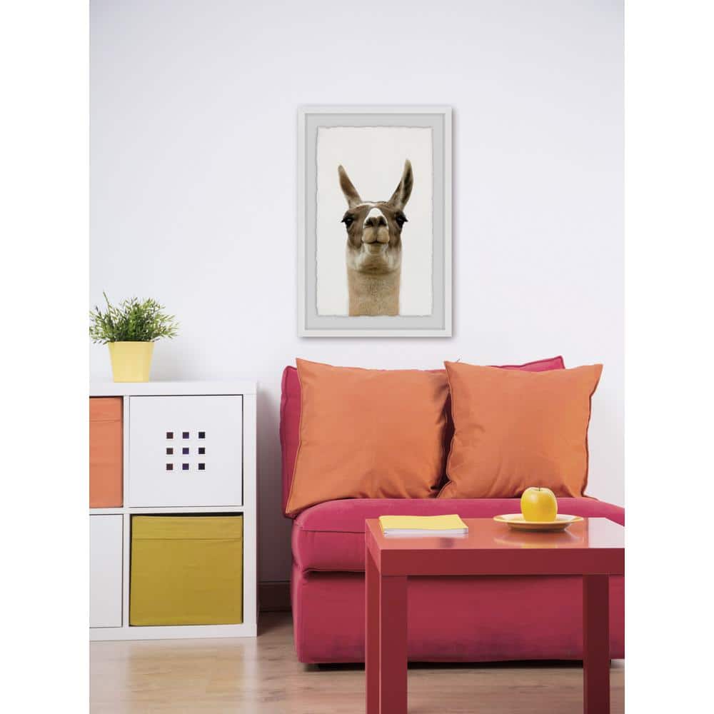 24 in. H x 16 in. W Llama Face by Marmont Hill Framed Printed Wall Art