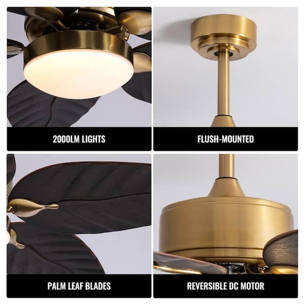 Pacific Core 52 in. Smart Indoor/Outdoor Downrod Mount Tropical