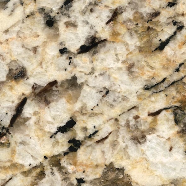 STONEMARK 3 in. x 3 in. Granite Countertop Sample in Caroline Summer