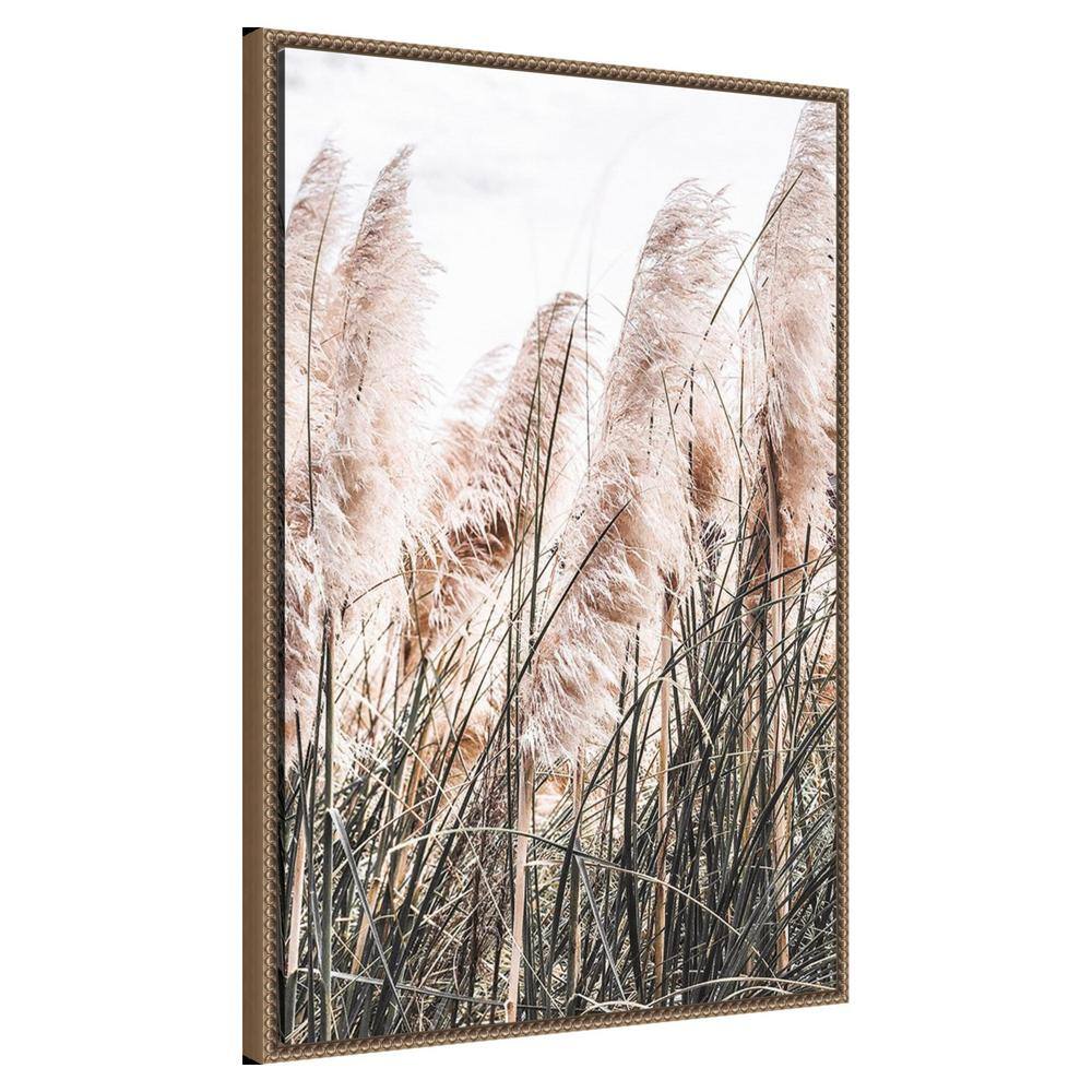 Pampas Grass Photography on Canvas with Bronze Frame