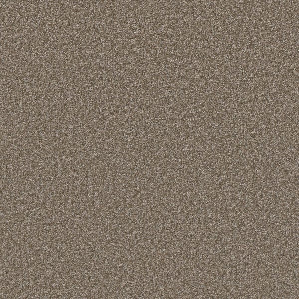 Gentle Glimmer II-Joy Beige-60 oz. SD Polyester Texture Installed Carpet