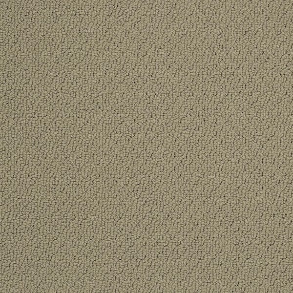 Mohawk 8 in. x 8 in. Pattern Carpet Sample - Cliffmont - Color Cavern