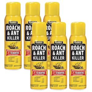 16 oz. 10-Month Roach and Ant Killer Aerosol Spray (6-Pack)