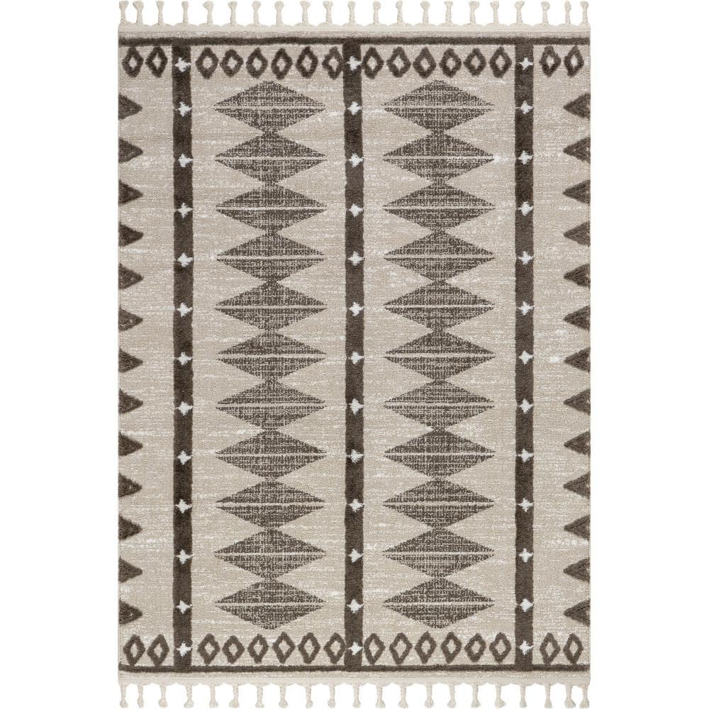 Autumn Geometric Tasseled Beige 5 ft. x 8 ft. Indoor/Outdoor Patio Area Rug price history on PriceWatchPro