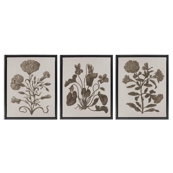 Stupell Industries Vintage Country Botanicals by Lil' Rue 3 Pieces Black Floater Frame Nature Graphic Art Print 21 in. x 17 in.