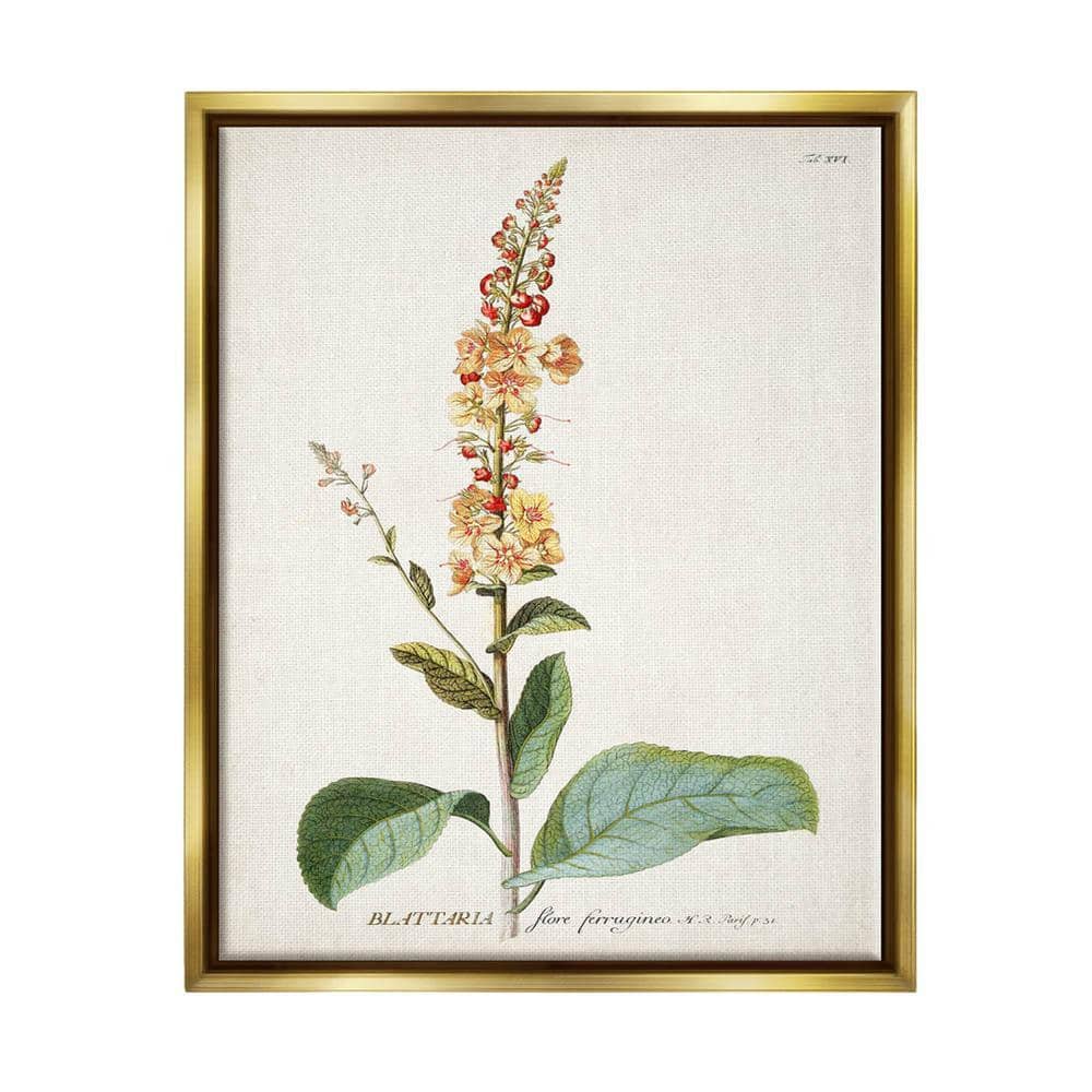 The Stupell Home Decor Collection Botanical Plant Illustration Flowers ...