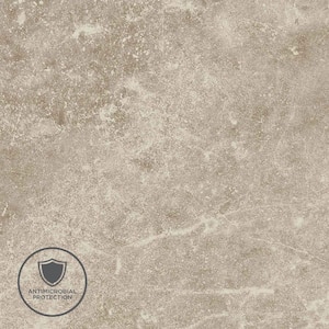 2 in. x 3 in. Laminate Sheet Sample in Potter's Clay with Premium Antique Finish