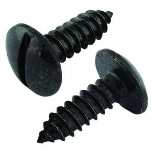 1/4 in. x 3/4 in. Universal Slotted Black Truss Head License Plate Bolt (2-Piece per Bag)