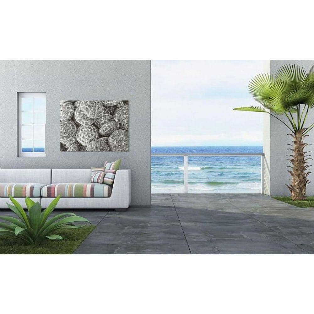 Pewter Sea Urchins by Grotto Studios 1 Piece Unframed Canvas Drawing Print 18 in. x 24 in. price history on PriceWatchPro