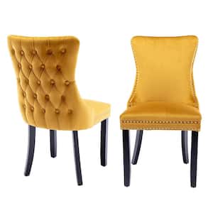 High-end Yellow Tufted Contemporary velvet Nailhead Trim Upholstered Dining Chair with Wood Legs (Set of 2)