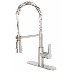 Beck Single-Handle Pull Down Sprayer Kitchen Faucet in Brushed Nickel