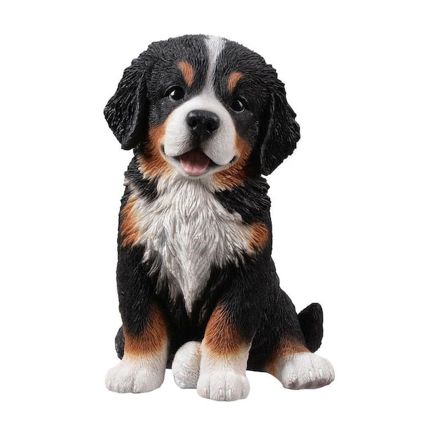 HI-LINE GIFT LTD 12.5 in. H Bernese Mountain Puppy Sitting (Hi