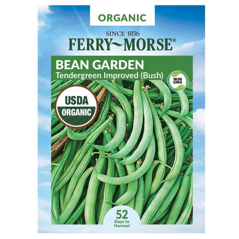 Ferry-Morse Organic Bean Tendergreen Improved Fruit Seed 1515 - The ...