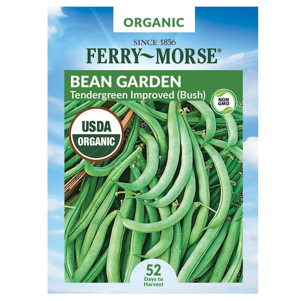 Ferry-Morse Organic Bean Tendergreen Improved Fruit Seed