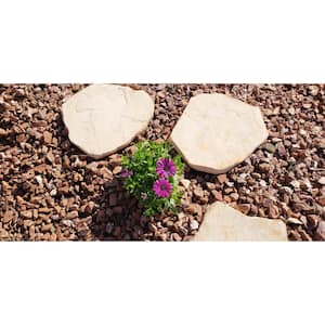 Canyon Oak Irregular Concrete Stepping Stone Pathway Pack (32-Piece)