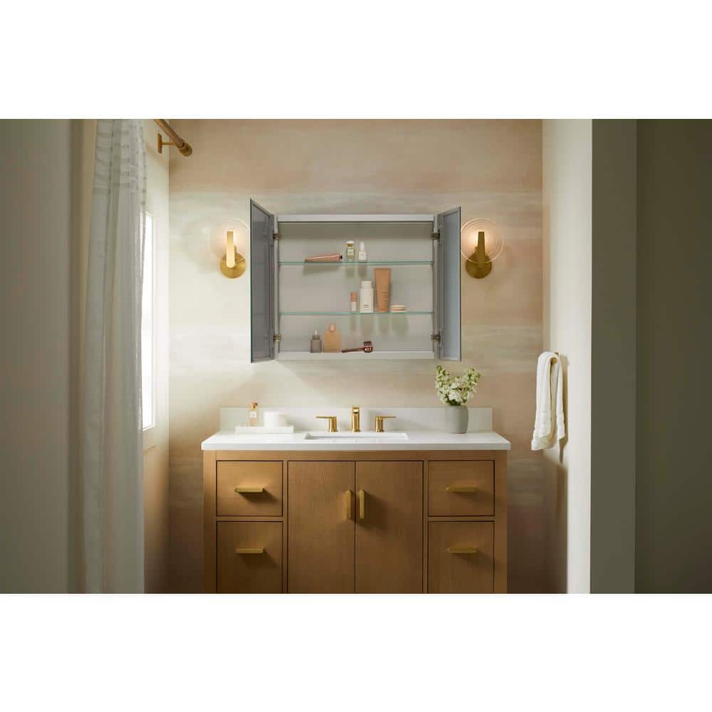 Embark 30" x 26" Anodized Aluminum Dual Swing Medicine Cabinet