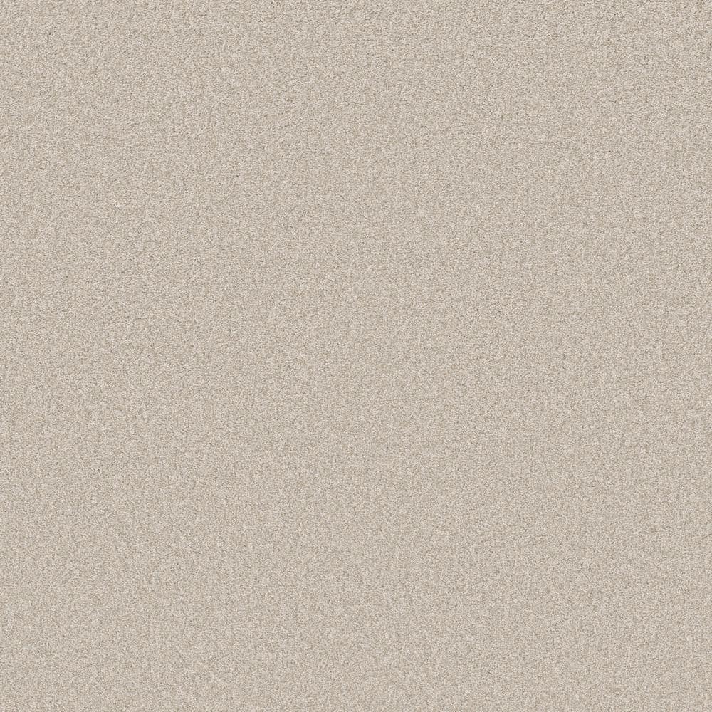 8 in. x 8 in. Texture Carpet Sample - Coastal Charm II -Color Mohair price history on PriceWatchPro