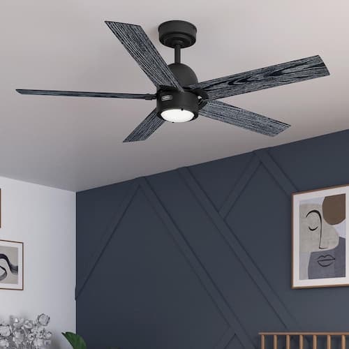 Erling 52 in. Indoor Matte Black Standard Ceiling Fan with Soft White Integrated LED and Remote Included Hunter Ceiling Fans With Lights