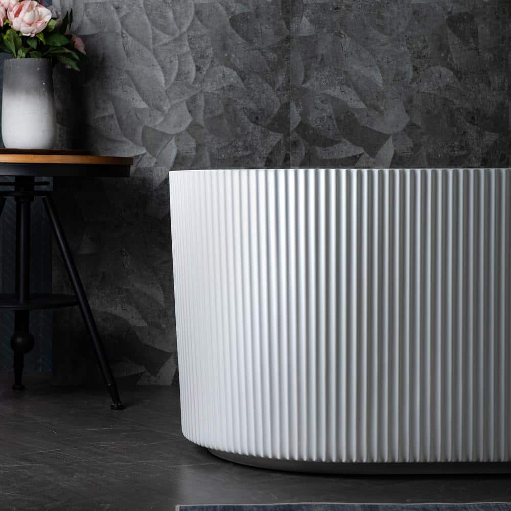Pavanjit 67" White Matte Black Freestanding Acrylic Soaking Tub