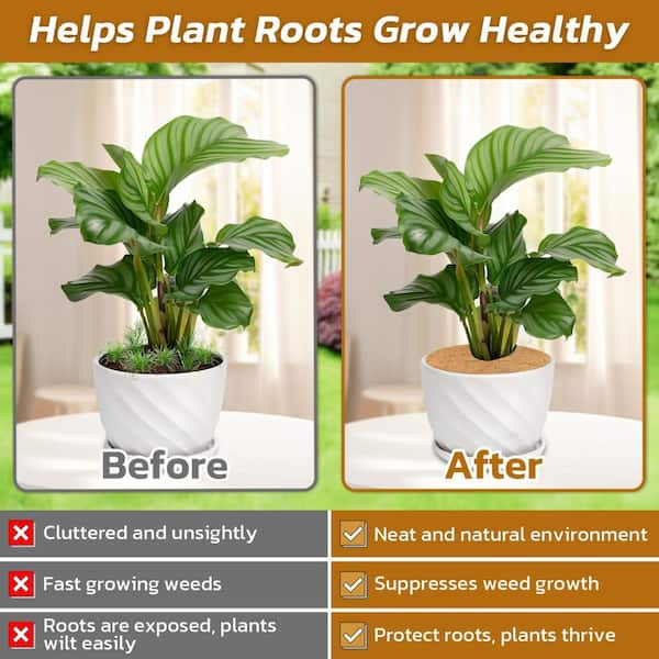 11.8 in. Brown Natural Coconut Fiber Round Plant Pot Soil Cover for Indoor  and Outdoor Planters (10-Pack) HY925-5 - The Home Depot