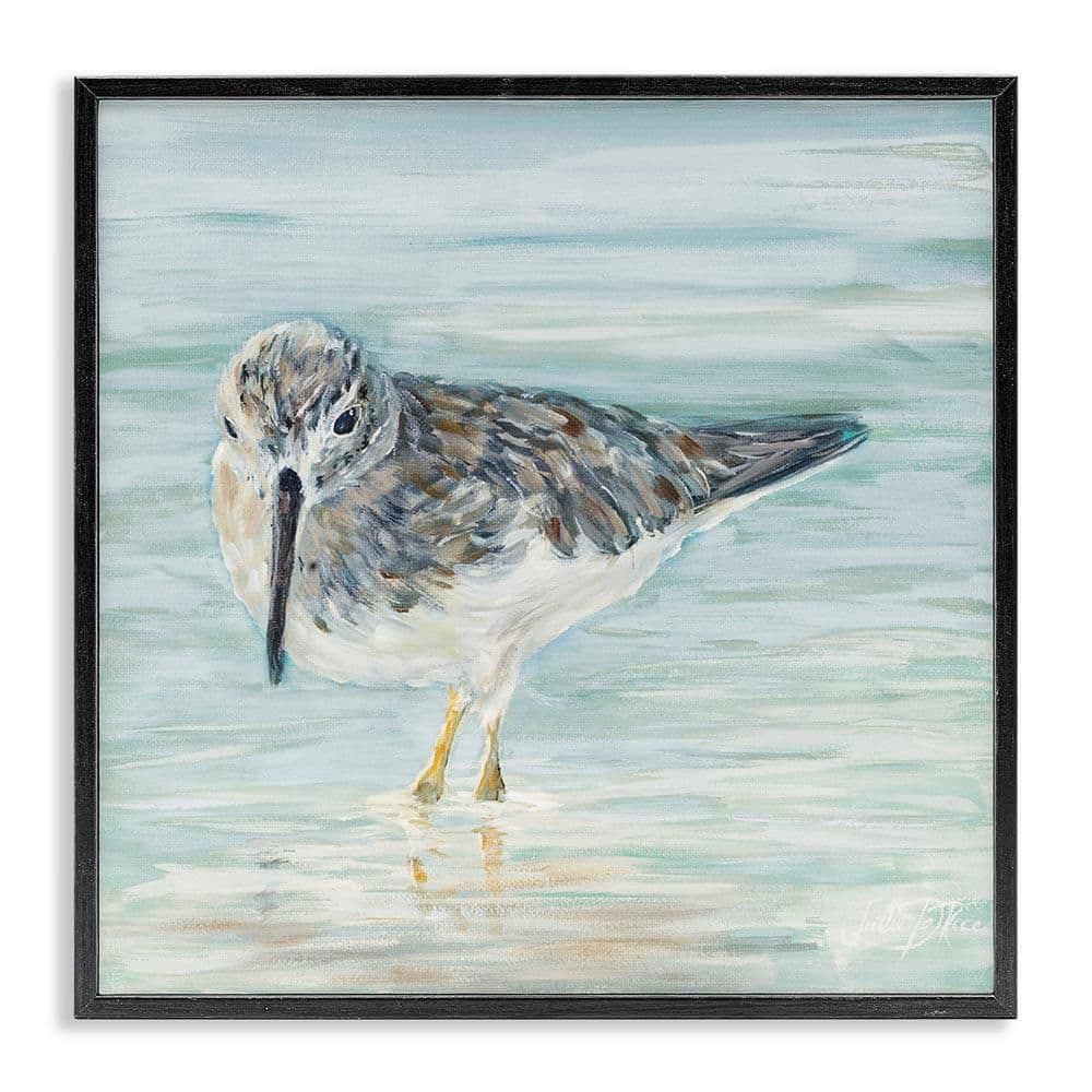 Sandpiper in Shallow Beach Waters by Julie DeRice Black Framed Giclee Art Print Animal 12 in. x 12 in. price history on PriceWatchPro