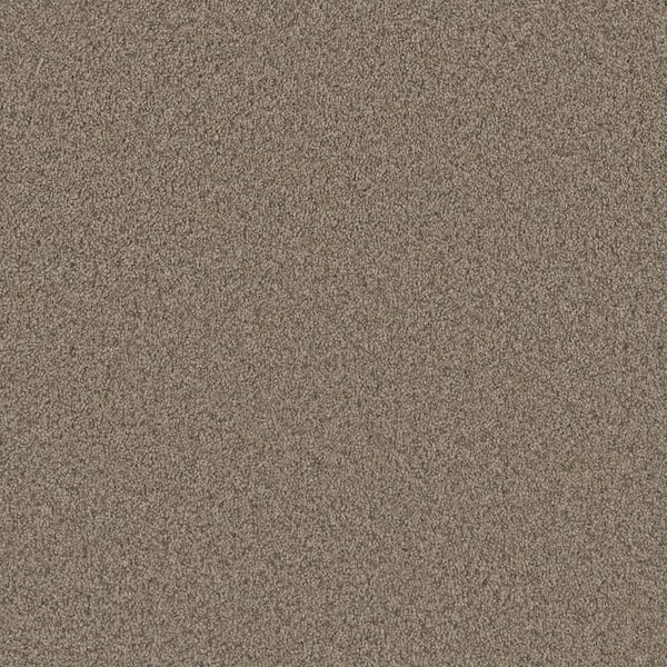 Home Decorators Collection Trendy Threads Plus I - Desert - Beige 40 oz. SD Polyester Texture Installed Carpet