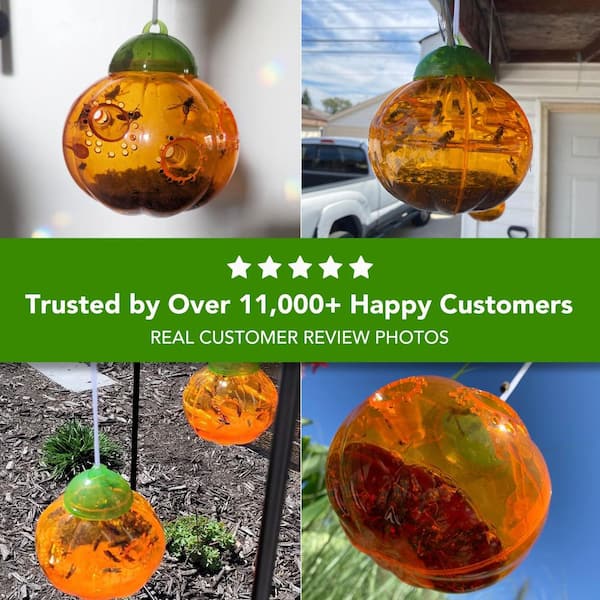 Aspectek Pumpkin-shaped Wasp Trap Catcher (2-Pack) HR1977 - The