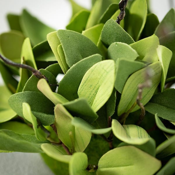 Italian Ruscus Leaf Branch, Fake Green Stems & Plants