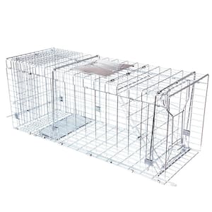 Answer Professional Live Trap for Coyotes, Foxes, Armadillos and Other Large Pests