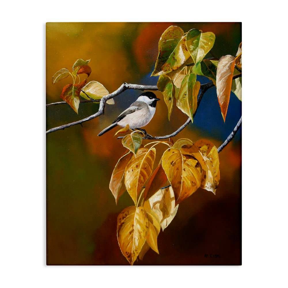 Bird Perched in Nature by Andrew Kiss Unframed Graphic Animal Art Print 20 in. x 16 in. price history on PriceWatchPro