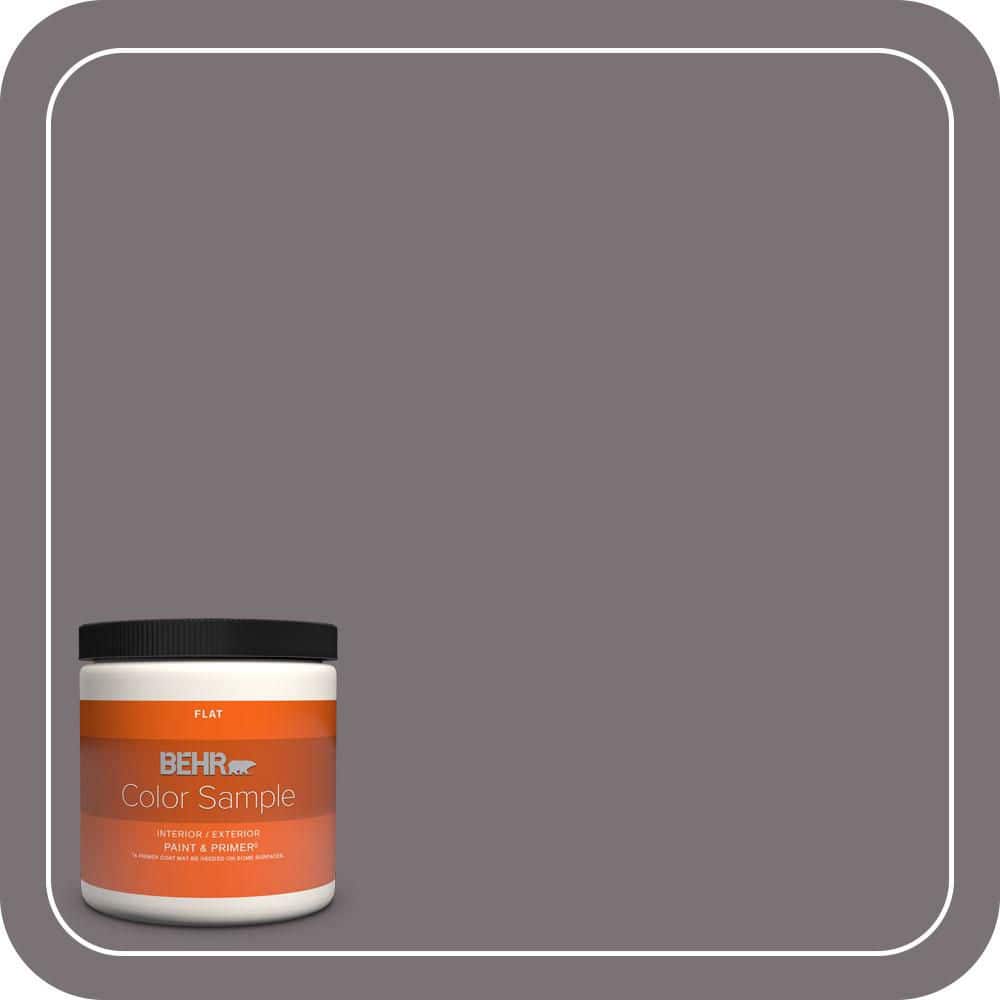 8 oz. #PPU17-18 Echo Flat Interior/Exterior Paint & Primer Color Sample price history on PriceWatchPro