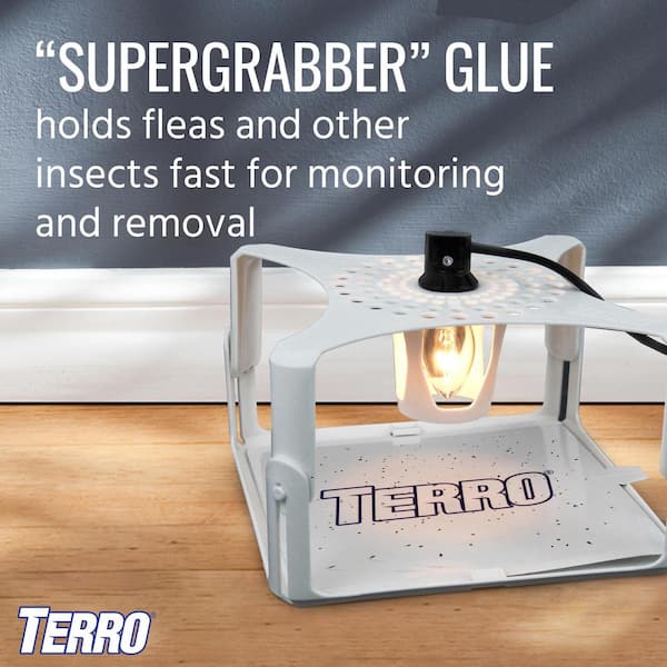 TERRO Flea Trap Refill Glue Boards, 3 Pack