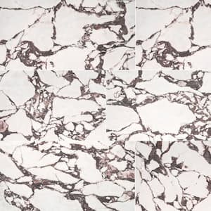 Calacatta Viola 24 in. x 48 in. Polished Porcelain Floor and Wall Tile (16 sq. ft./Case)