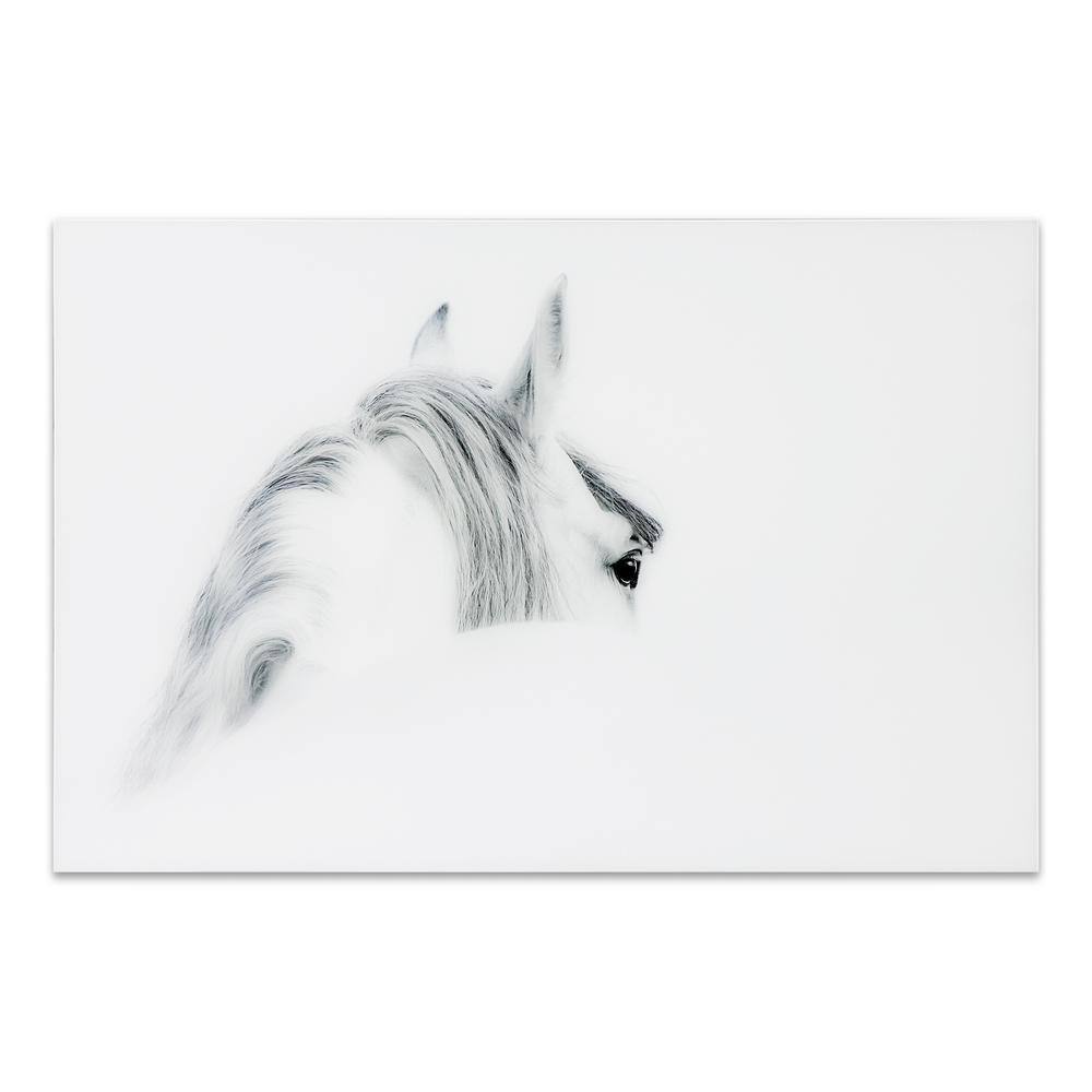 Blanco Mare Horse Frameless Tempered Glass Wall Art, 48" x 32"