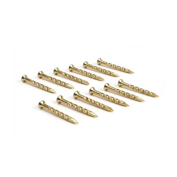 1-1/4 in. 12CT Gold Fasteners Floor Installation Kit for Floor Accessory
