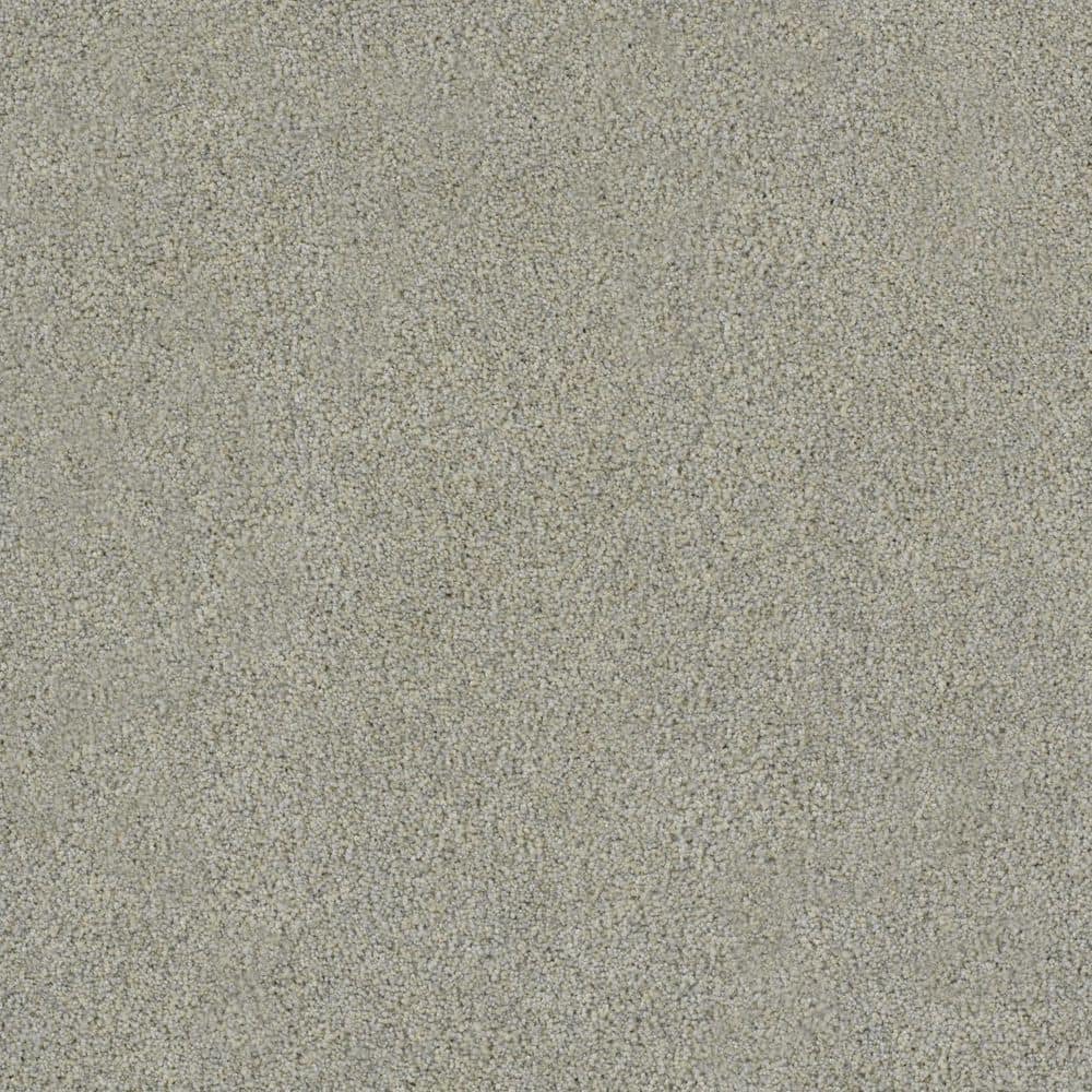8 in. x 8 in. Texture Carpet Sample-Dewdrop I-Color Ripple price history on PriceWatchPro