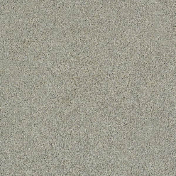 8 in. x 8 in. Texture Carpet Sample-Dewdrop III-Color Ripple