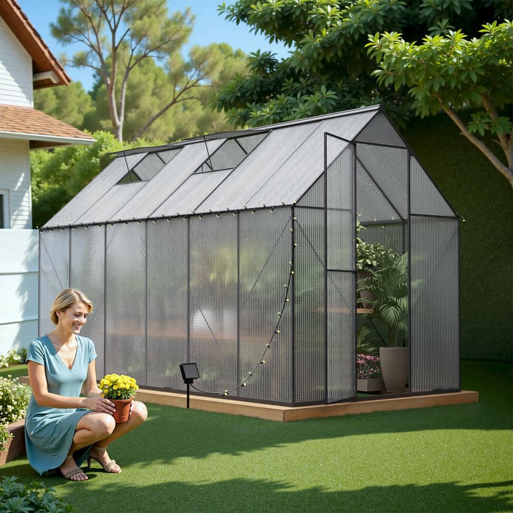 6 x 12 Outdoor Greenhouse Walk in Heavy Duty Storage Shed with Adjustable V