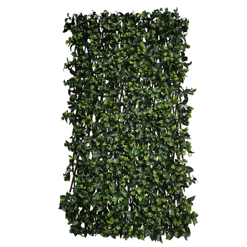 50.05Hx32.05W Closing Size Expandable Decorative Faux Gardenia Leaf Fen