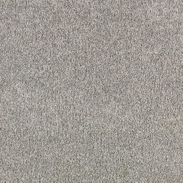 Lifeproof with Petproof Technology 8 in. x 8 in. Texture Carpet Sample - Cleoford -Color All Spice