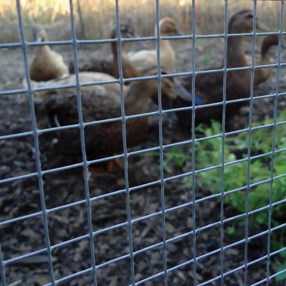 Silver 36" x 120" Metal Chicken Wire Fencing