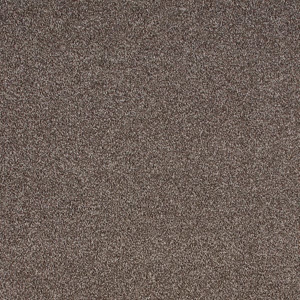 Still in Love I Coffee Brown 39 oz. Blend Texture Installed Carpet