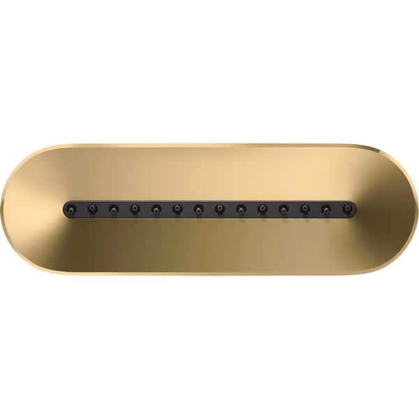 KOHLER Statement 3.5 in. 14-Sprayer Body Jet in Vibrant Brushed Moderne Brass