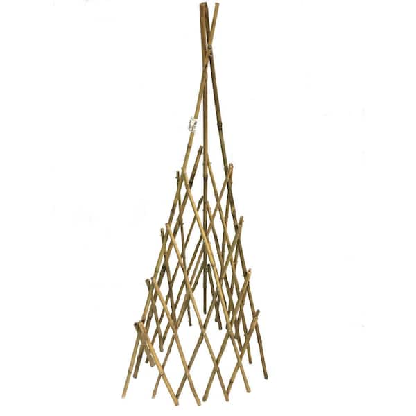 Unbranded 72 in. H Bamboo Teepee Trellis