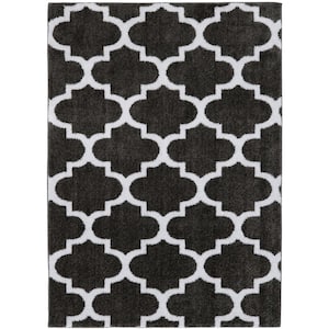 Seyward 5 ft. x 7 ft. Titanium Trellis Shag Area Rug